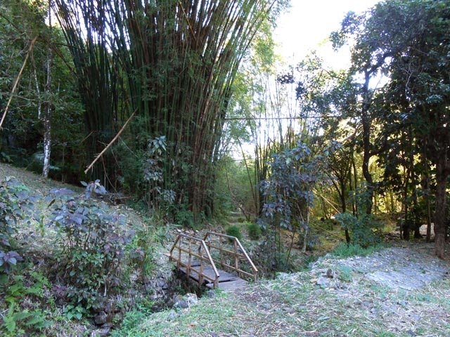 La passerelle menant aux ruines de la cure et aux bambous en bord de rivière
