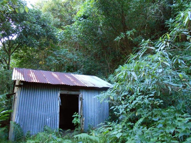 La cabane abandonnée. Le sentier passe sur la droite