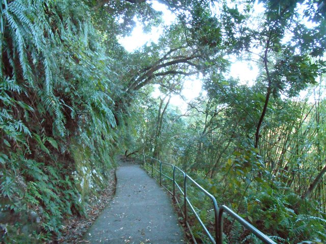 Des rambardes protègent les pèlerins ou les randonneurs de la chute
