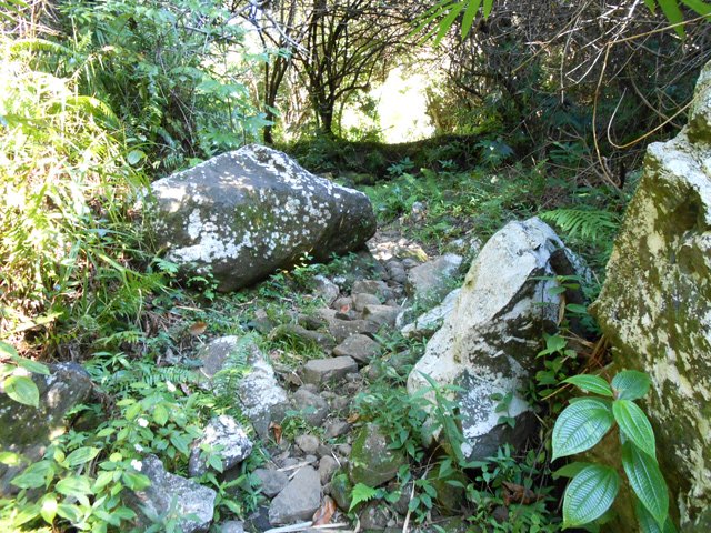 Petits et gros cailloux sur le sentier