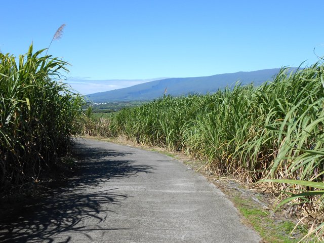 Route étroite et agréable avec points de vue