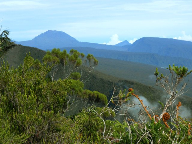 Point de vue sur la Piton des Neiges depuis une trouée dans la végétation