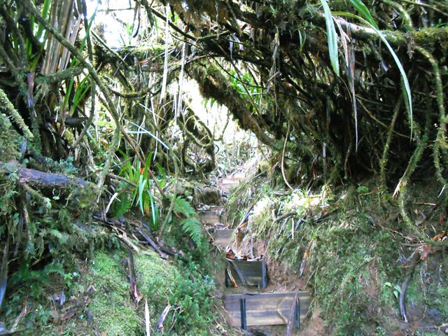 Autre passage nécessitant de se baisser