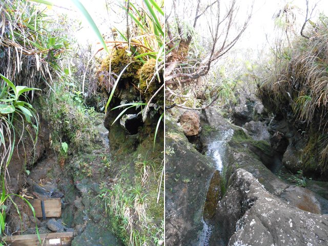 Un passage étroit proche d'une petite ravine