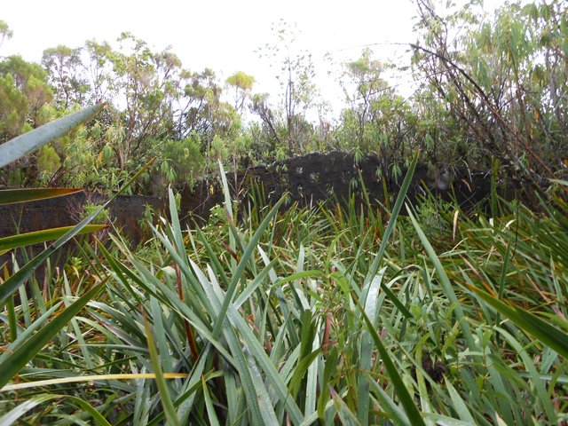Une ruine très proche de la route des citernes