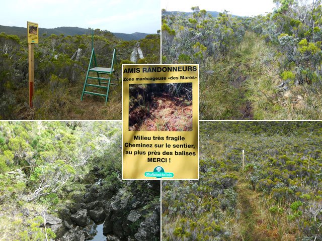 Quelques idées du Plateau de la Rivière de l'Est et de la Plaine des Mares