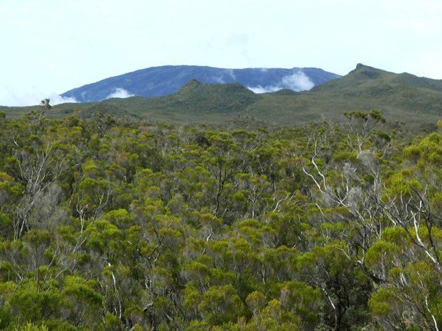 La Fournaise et le Nez Coupé de Sainte-Rose vu du Plateau de la Rivière de l'Est
