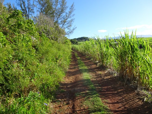 La remontée grimpe par endroits