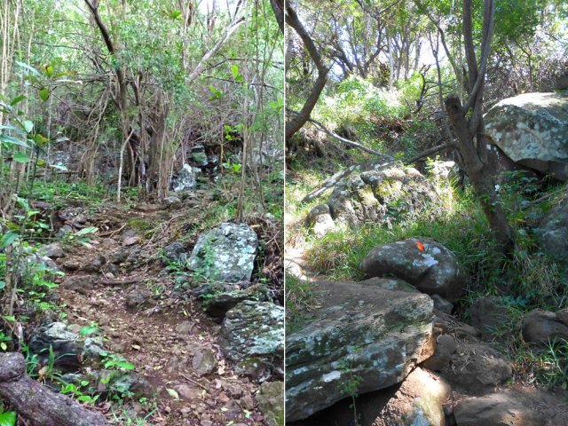 Sentier un peu abrupt et rocheux vers Verger Hémery