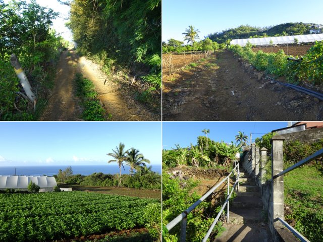 Pistes et raccourcis en direction du Piton du Calvaire