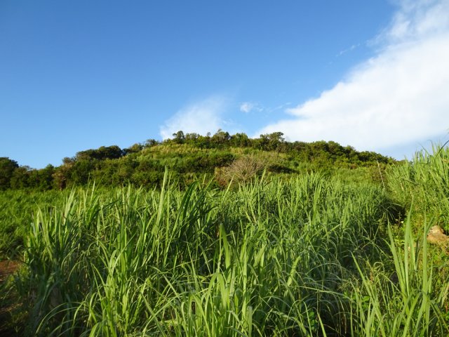 Sur la droite, le Piton Rosille culmine à 322 m