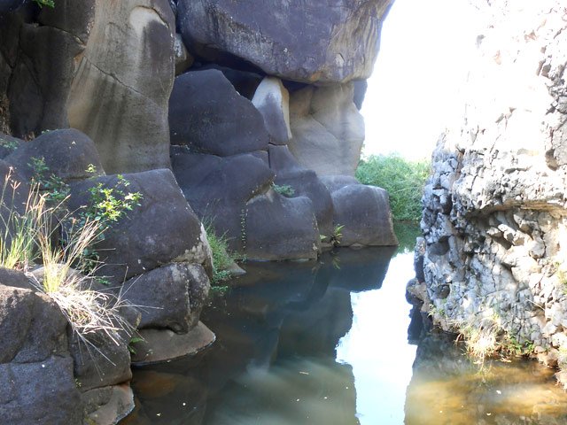 Bassin, alimenté par des sources, où nagent de petits poissons
