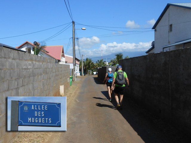 Un peu d'ombre dans l'Allée des Muguets