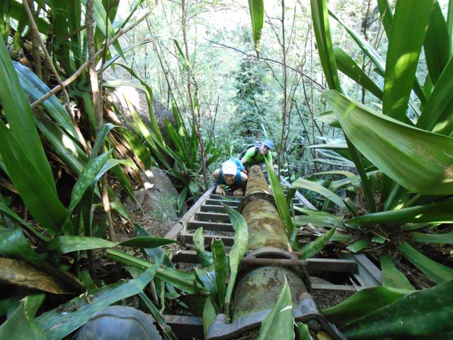 Le haut de la grande échelle de retour noyée dans les chocas
