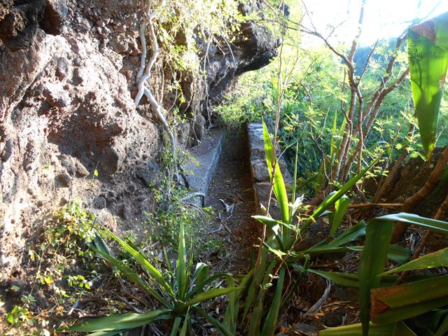 Les chocas prennent petit à petit possession du canal