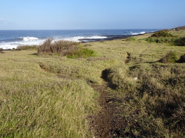 Une autre idée des multiples sentiers partant dans toutes les directions