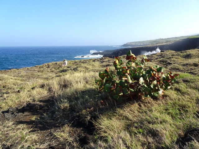 Les croix, souvenirs de noyades, sont légion tout au long de la côte