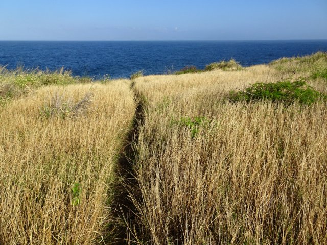 Les sentiers ne varient guère d'aspect jusqu'à Saint-Leu