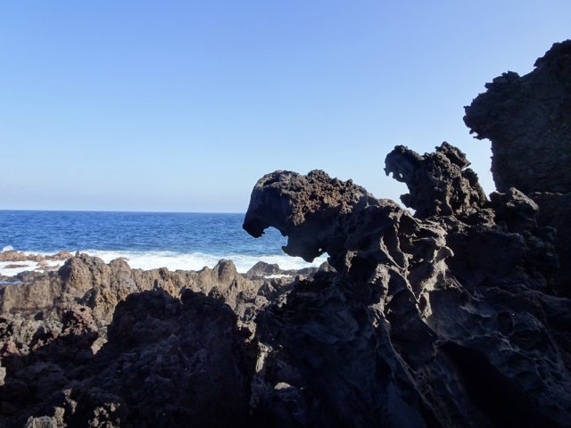 Avec de l'imagination on peut baptiser ces gardiens de l'océan