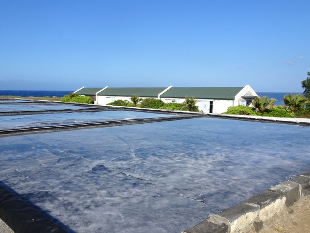 Peu de sel mais une bonne idée du fonctionnement