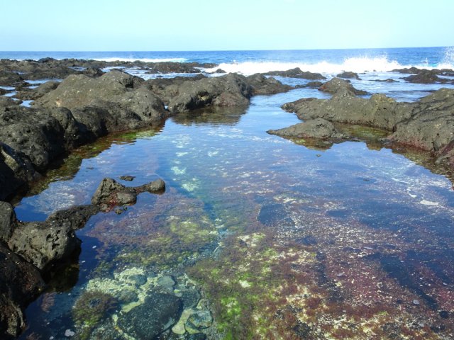 Le platier derrière le bassin donne accès à des petits coins charmants