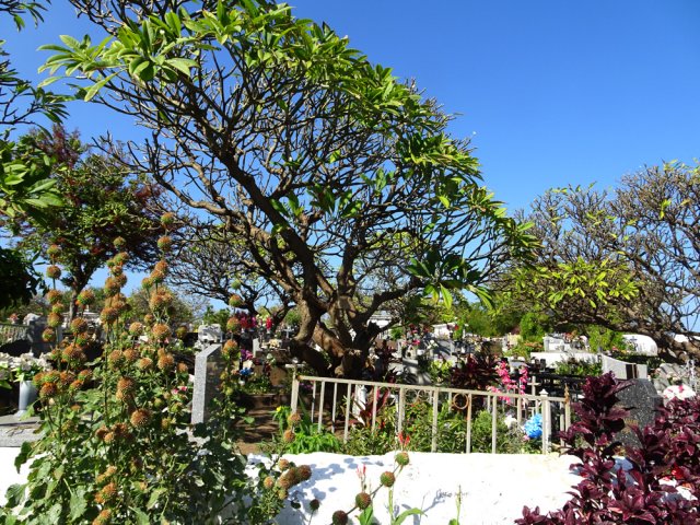Le cimetière fleuri de Saint-Leu mérite un court détour de 50 mètres