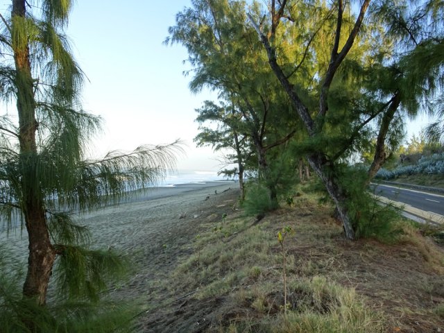 Entre route et mer, ce petit sentier est un bon compromis