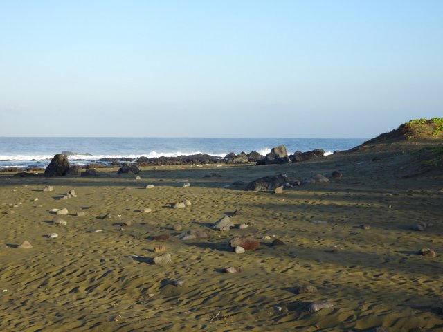 Le jaune de l'olivine ressort bien mieux au lever du soleil