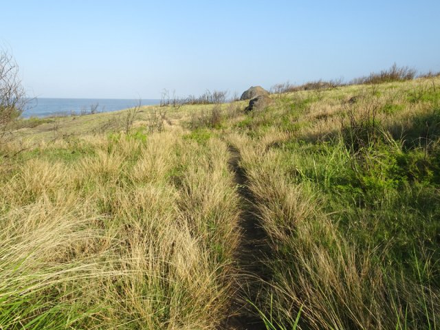 Une idée du sentier dans la savane dominant la mer