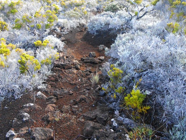 Sentier un peu plus caillouteux