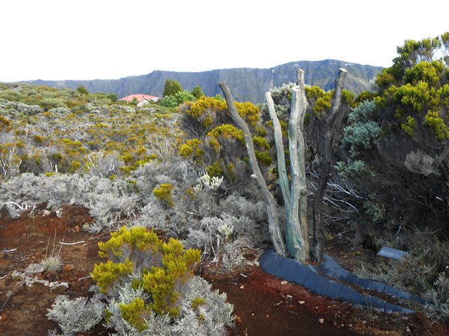Une autre également symbolique