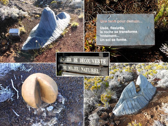 Quelques exemples de sculptures le long du sentier de découverte