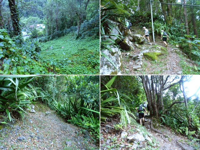 Le sentier bordé de chouchous qui rejoint le point de départ au lacet de la RD56