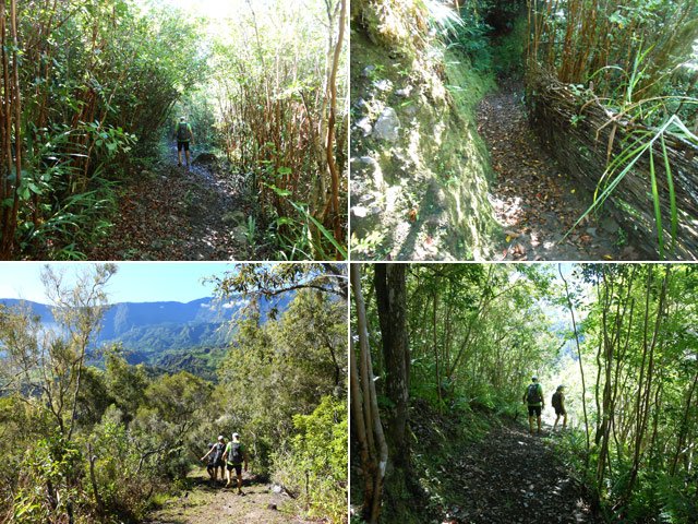 Quelques portions du sentier de descente vers la Rivière du Mât