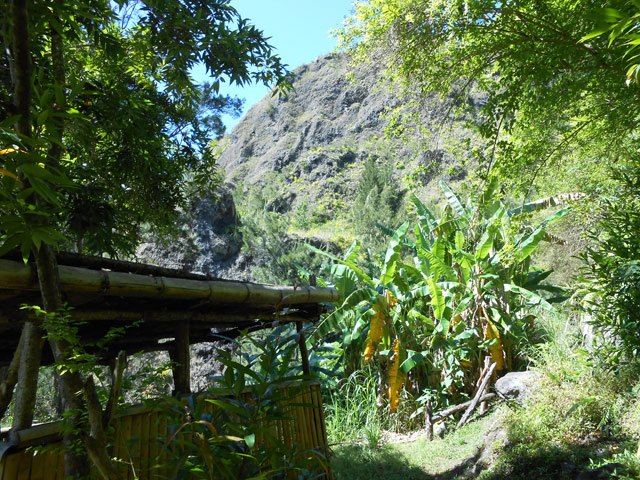 La "cabane bambous" au milieu de ses bananiers a disparu. Ne reste que le barbecue.