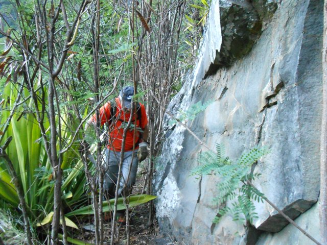 Le sentier est encore visible malgré les zépinards qui l'ont envahi