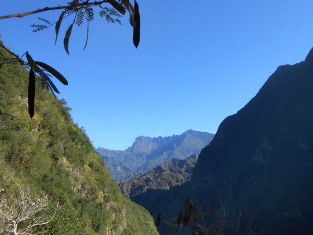 La forte pente favorise les points de vue sur le Gros Morne