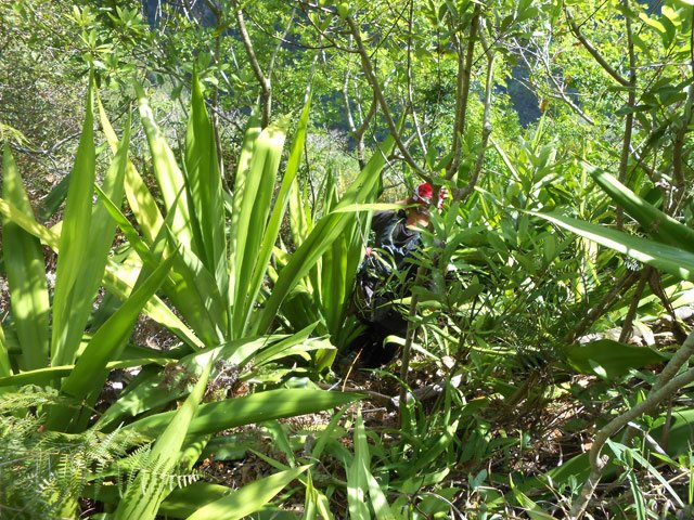 Allergiques aux chocas, s'abstenir