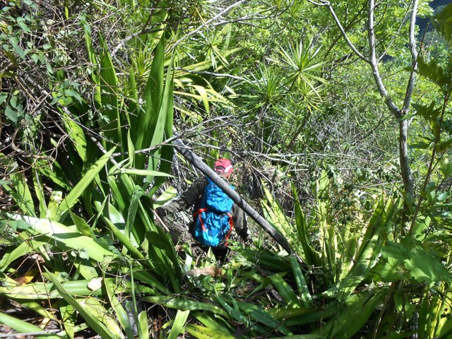 Une fois coupés à la montée, la descente est presque un plaisir