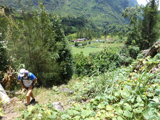 Début de montée dans les champs de chouchous