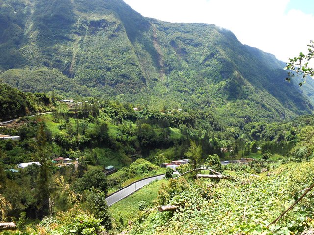 La route de Salazie et Bois de Pomme