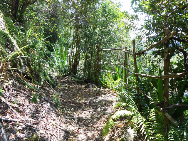 Un autre un peu plus loin