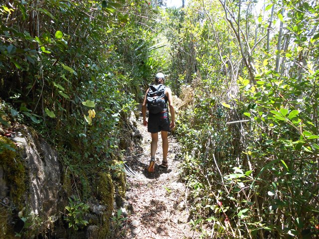 Le sentier est ici en très bon état