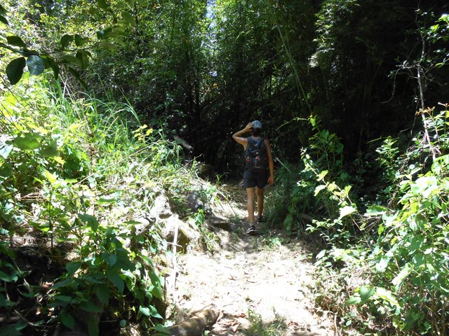 Quelques sous-bois pour avoir un peu d'ombre
