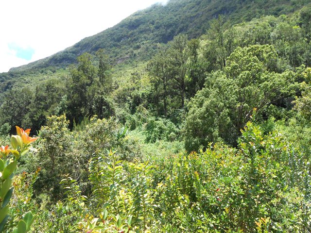 Il y avait assez de place pour cultiver au siècle précédent