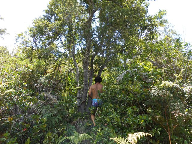 Un guide original pour retrouver le sentier