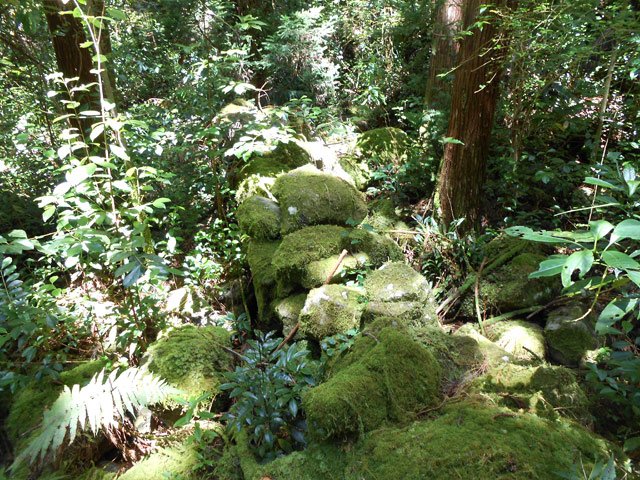 Vestiges de murettes d'enclos à cochons