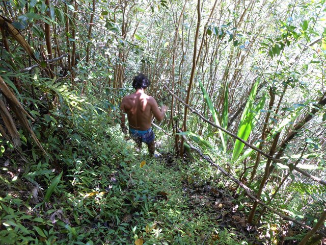 Alain, en savate deux doigts montre le sentier de l'îlet Bananiers