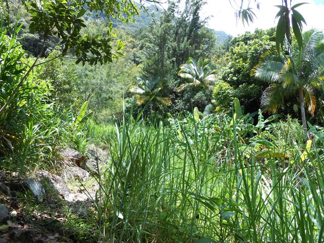 Une idée du paysage sur le plateau