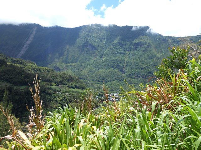 Vue sur le Grand Plate et Cap Picard